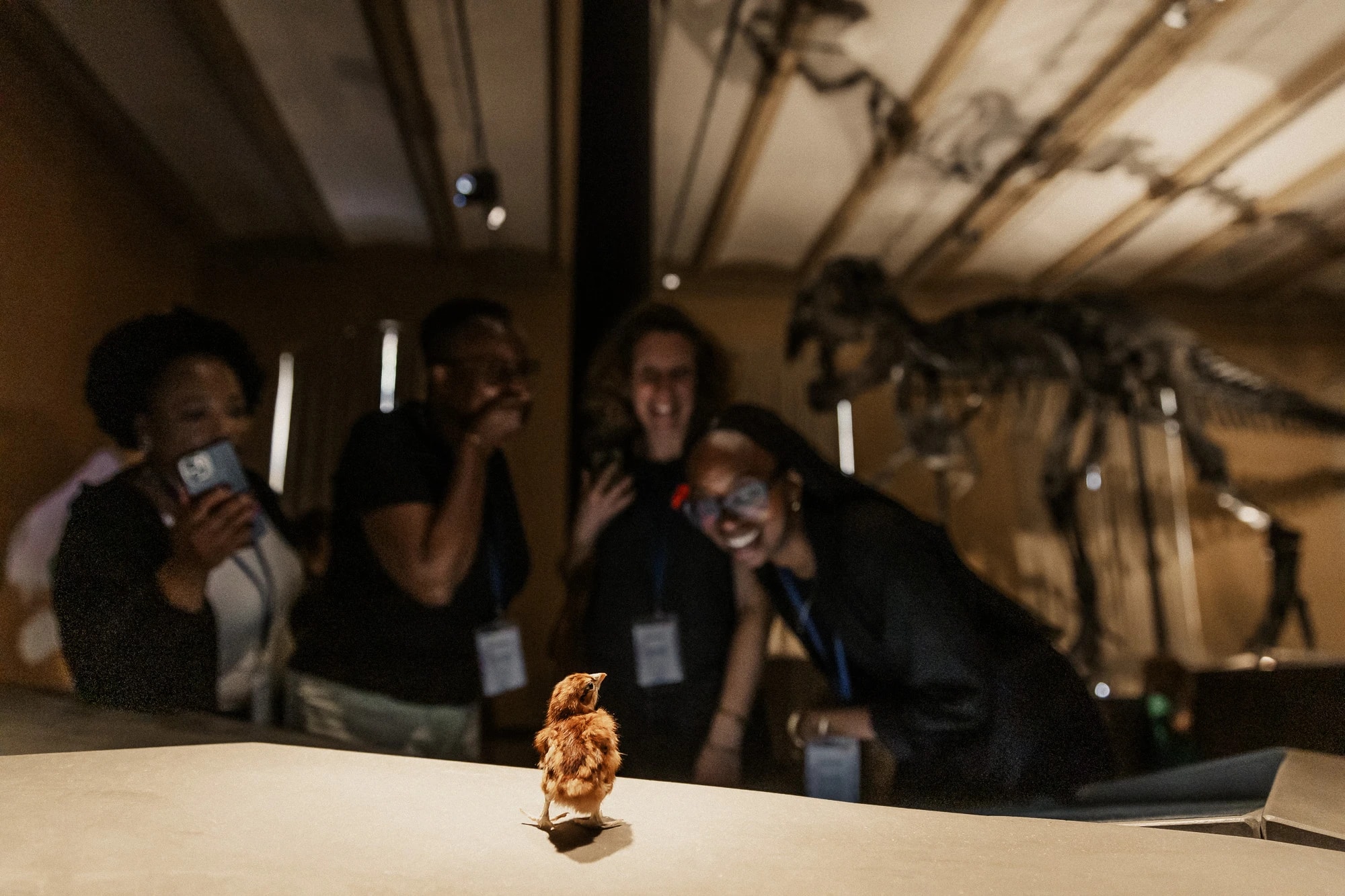 fellows in the Trex exhibition at MfN